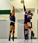 Volleyball 